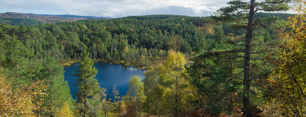 Corie Loch on the Corie Loch Trail